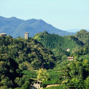 La Farra - Panorama